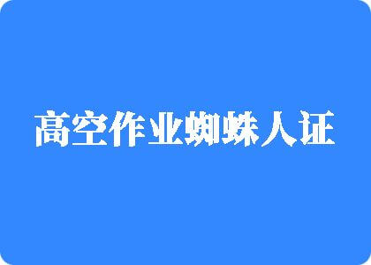 亚洲操嫩逼p高空作业蜘蛛人证